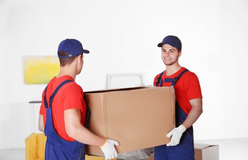 Policy review and safety improvement process for removals
