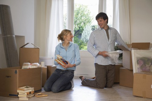 Moving boxes and furniture with a Putney van and man team